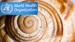 দেশে দেশে ছড়াতে পারে যৌনাঙ্গ আক্রান্তকারী পরজীবী