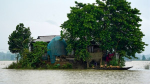 গাছের পাতা খেয়ে বেঁচে আছি—আসামে বন্যায় পানিবন্দী মানুষের মানবেতর জীবন
