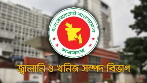 আগামী ২-৩ দিনের মধ্যে গ্যাস সরবরাহ স্বাভাবিক হবে