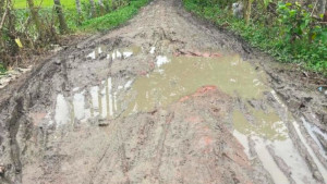 কমলপুর-কৈজুরী সড়কের বেহাল দশা, বিপাকে হাজারো মানুষ