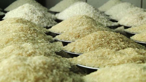 ৫৫ লাখ পরিবারকে ১৫ টাকা কেজি দরে চাল দেবে সরকার