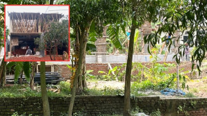 গাজীপুরে সংরক্ষিত বনভূমিতে দখলের হিড়িক, অস্তিত্ব সংকটে বনাঞ্চল