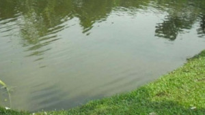 নানাবাড়ি বেড়াতে এসে পানিতে ডুবে দুই শিশুর মৃত্যু