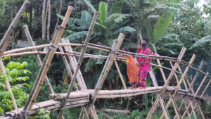 বন্যায় বিলীন সেতু, ১৫ গ্রামের মানুষের ভরসা বাঁশের সাঁকো