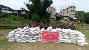 ভারতে পাচার হচ্ছিল বিপুল পরিমাণ সার