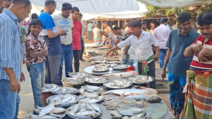 যে বাজারে ‘চাষের মাছ’ বিক্রি করলেই লাখ টাকা জরিমানা