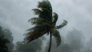 দুপুরের মধ্যে ঢাকাসহ ১১ অঞ্চলে ঝড়ের শঙ্কা