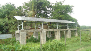 সোলার পাম্প অচল, ডিজেল সংকটে বিপাকে কৃষক