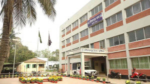 ভাতিজিকে হত্যা করে গাছে ঝুলিয়ে রাখলেন চাচি