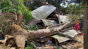 প্রচণ্ড ঝড়ে ঘরের ওপর পড়ল গাছ, চাপা পড়ে নারীর মৃত্যু