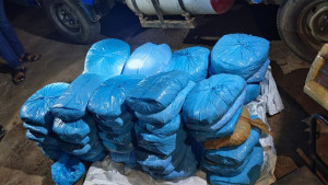 ৬৪ কেজি গাঁজাসহ মাদক কারবারি আটক