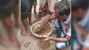 মাঠ থেকে ৩২৫ রাউন্ড গুলি উদ্ধার