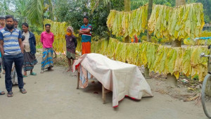 রেললাইনে শুয়ে থাকা বৃদ্ধ, ট্রেনে কাটা পড়ে মৃত্যু