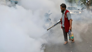 মশা মারতে পুরস্কার ঘোষণা ডিএনসিসির