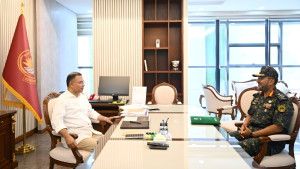 আনসারকে জনসেবামূলক কাজ অব্যাহত রাখার নির্দেশ প্রধানমন্ত্রীর