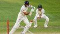 অ্যাশেজে দেখা যাবে না দিবারাত্রির গোলাপি বলের টেস্ট
