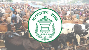 কোরবানির পশুর হাটে জাল নোট শনাক্তে বুথ বসানোর নির্দেশ বাংলাদেশ ব্যাংকের