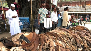 চামড়ার বাজারে অস্থিরতা: লোকসানে মৌসুমি ব্যবসায়ীরা