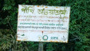 আকাশকলি দাসের পাখির অভয়াশ্রম সংরক্ষণের নির্দেশ হাইকোর্টের