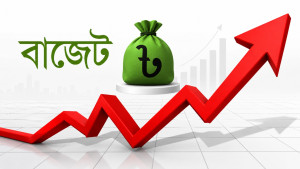 বাজেট মানে আসলে কী, কেন এটির দরকার হয়